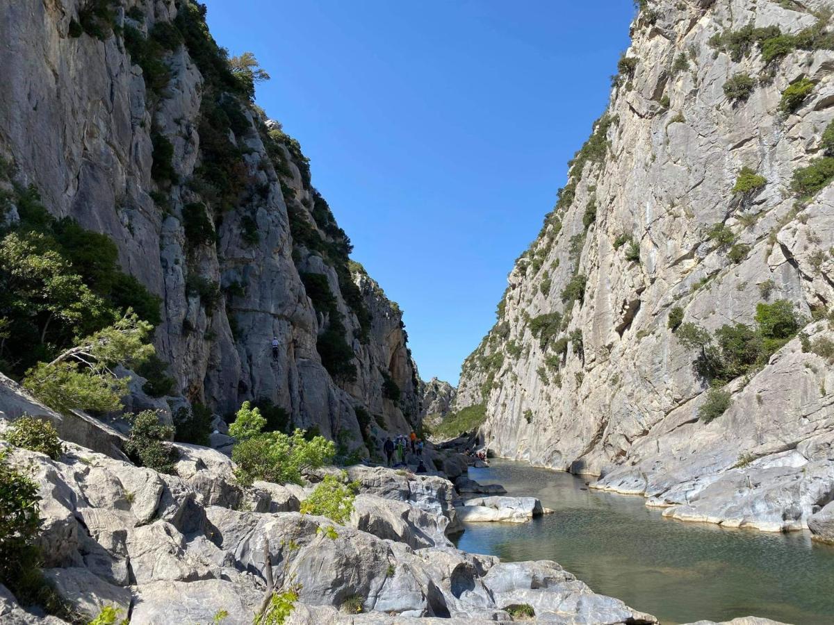 Trois Appartements Au Sein Du Mas Jams - Le Gouleyrous, Le Canigou Et Le Figarassa Vingrau Eksteriør billede